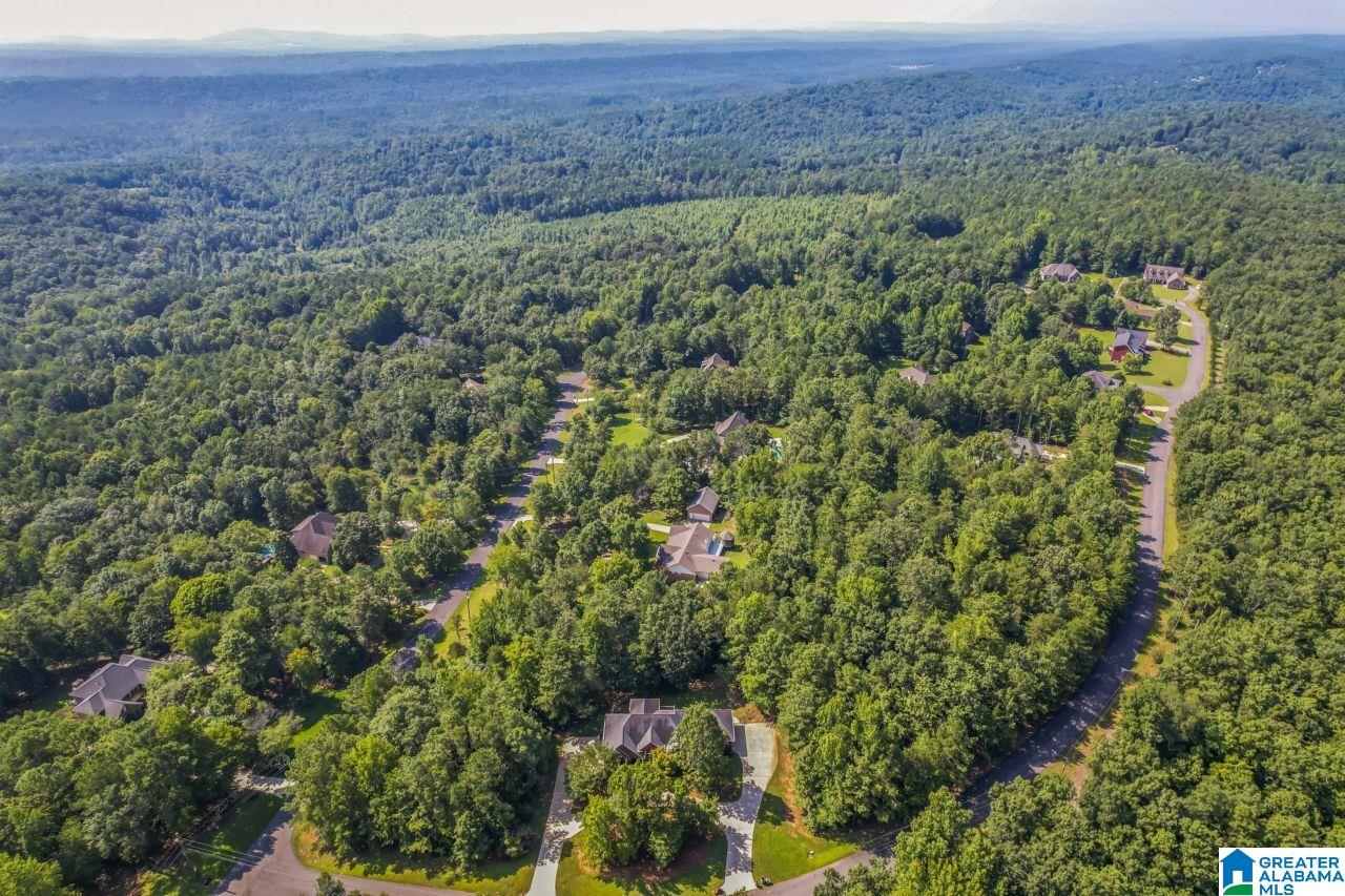 59 Grande View Drive Springville, AL 35146 - Photo 10 of 61
