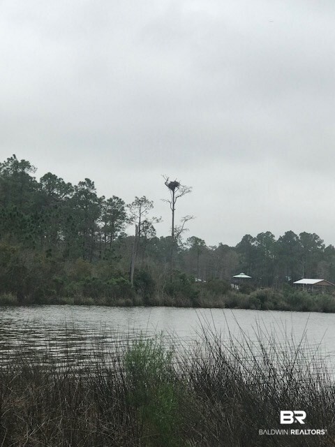 1 Bella Lane Foley, AL 36535 - Photo 2 of 6 Eagle nest near bay