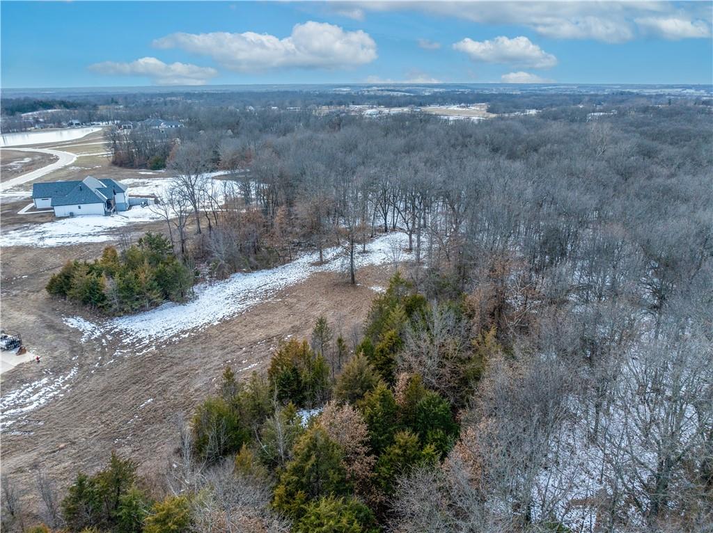 Lot 9 Southwest 11th Road Warrensburg, MO 64093 - Photo 8 of 12