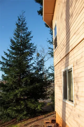 a view of a yard with an trees