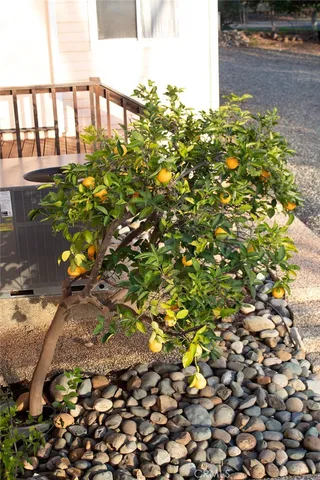 $899,995 | 87 Valley View Drive, Paradise, CA 95969