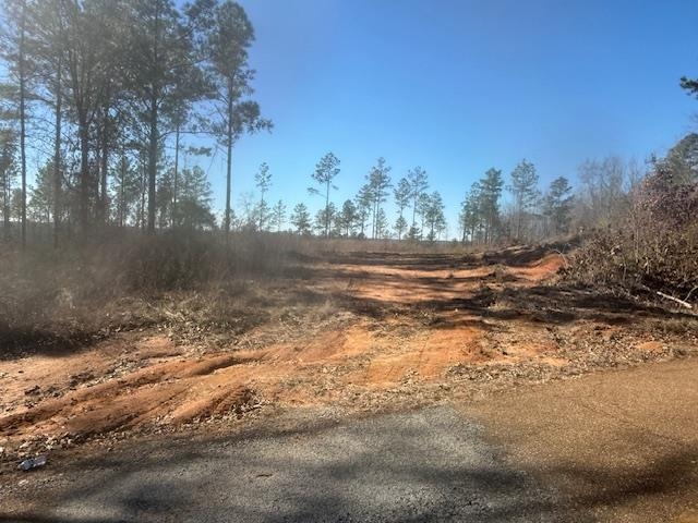 a view of dirt yard with large trees