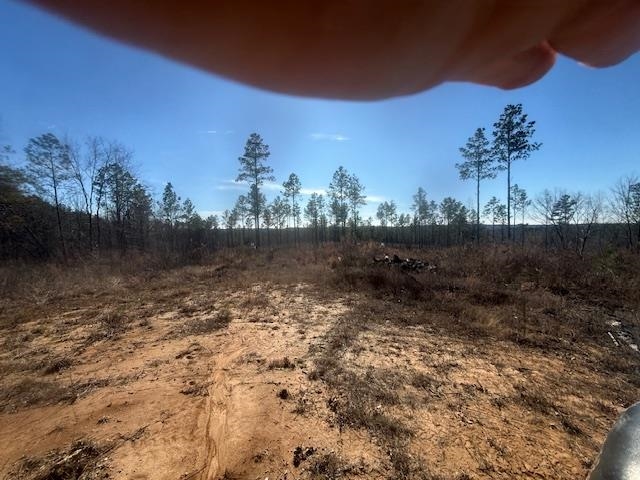 7 Harris Road Bolivar, TN 38008 - Photo 14 of 16 a view of backyard with green space