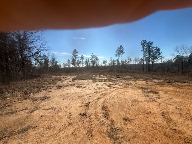 7 Harris Road Bolivar, TN 38008 - Photo 15 of 16 a view of ocean