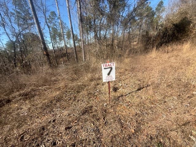 7 Harris Road Bolivar, TN 38008 - Photo 16 of 16 a view of a dry yard with trees