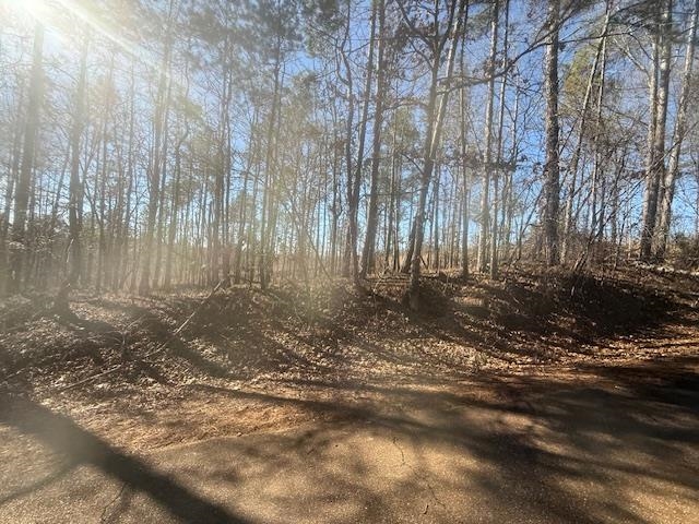 7 Harris Road Bolivar, TN 38008 - Photo 5 of 16 a view of backyard with green space