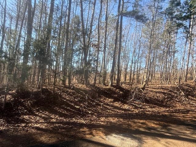 View of local wilderness