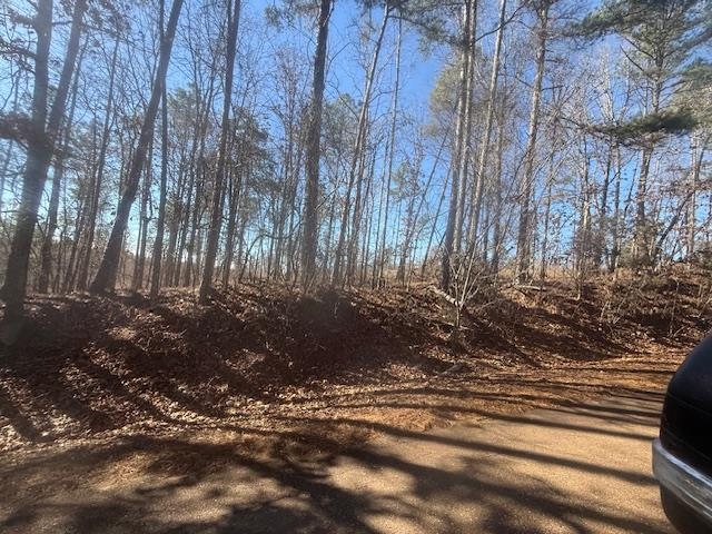 7 Harris Road Bolivar, TN 38008 - Photo 7 of 16 a view of a backyard with trees