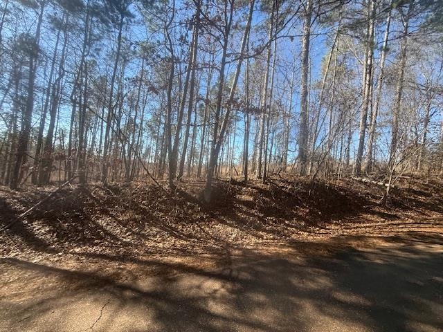 View of undeveloped land
