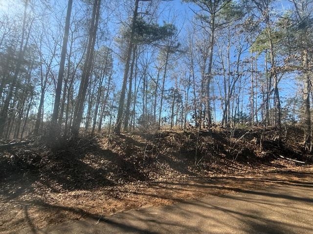 7 Harris Road Bolivar, TN 38008 - Photo 8 of 16 a view of a yard with trees