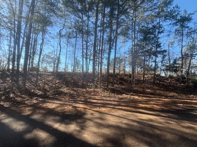 7 Harris Road Bolivar, TN 38008 - Photo 9 of 16 a view of a yard with large trees