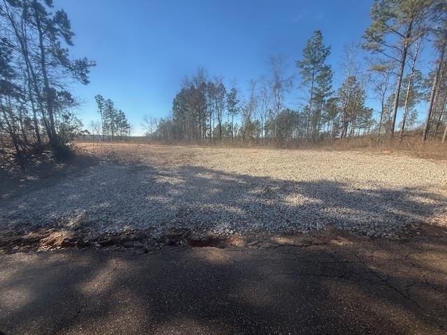 7 Harris Road Bolivar, TN 38008 - Photo 10 of 16 a view of a yard next to a lake