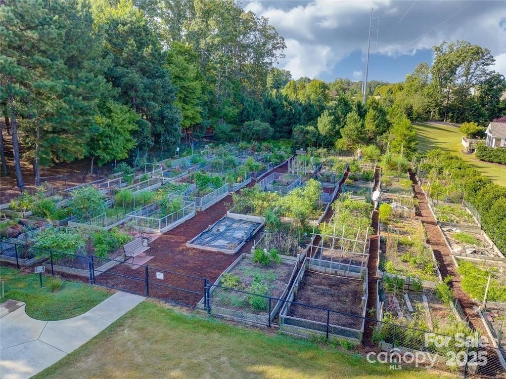 4079 Murray Street Fort Mill, SC 29707 - Photo 36 of 38 a aerial view of a house with a yard