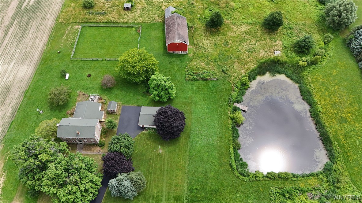 11143 Chaddock Road Alexander, NY 14005 - Photo 39 of 42