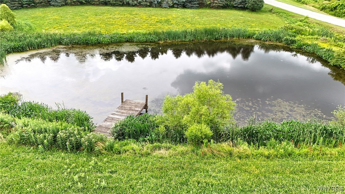 11143 Chaddock Road Alexander, NY 14005 - Photo 41 of 42