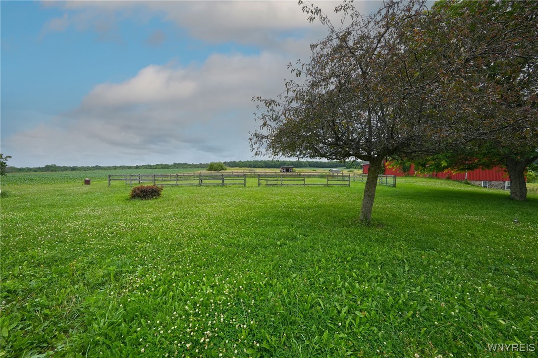 11143 Chaddock Road Alexander, NY 14005 - Photo 42 of 42