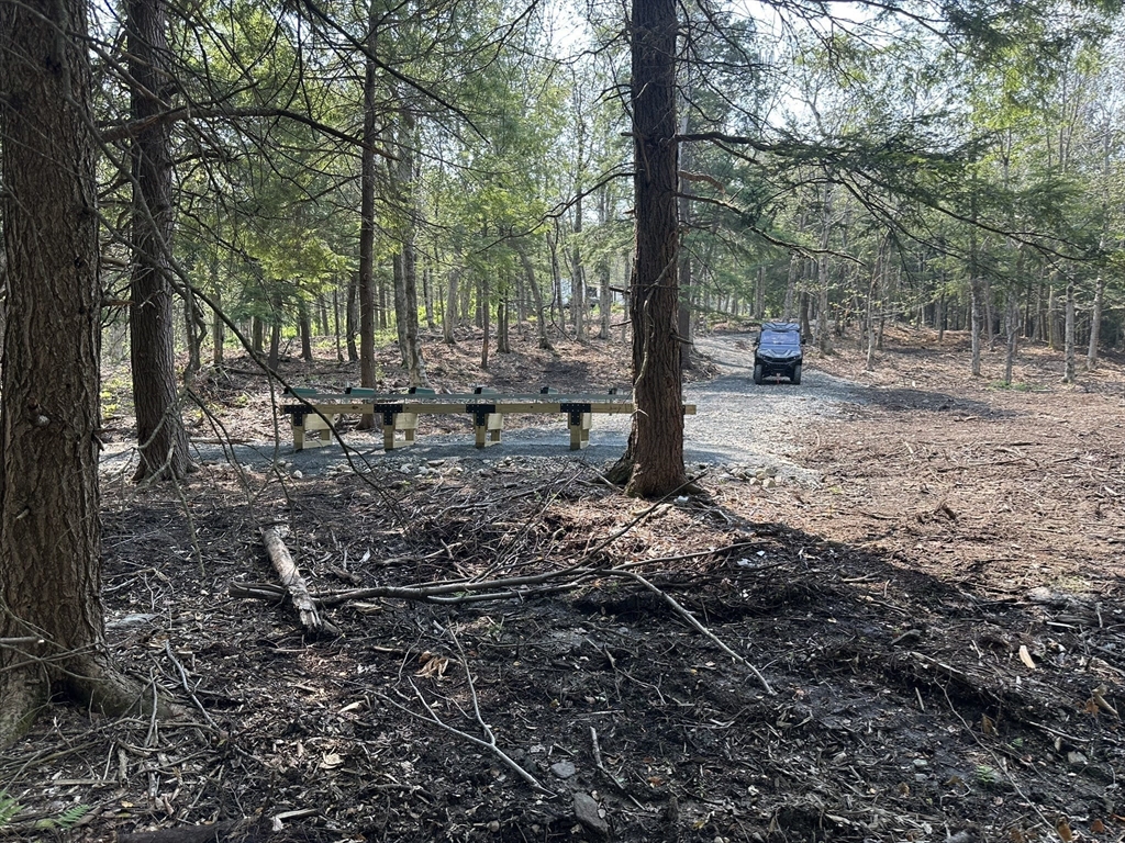 462 Old North Road Worthington, MA 01098 - Photo 1 of 25