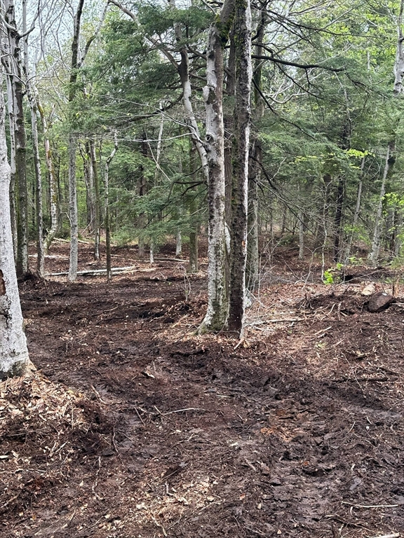 462 Old North Road Worthington, MA 01098 - Photo 11 of 25