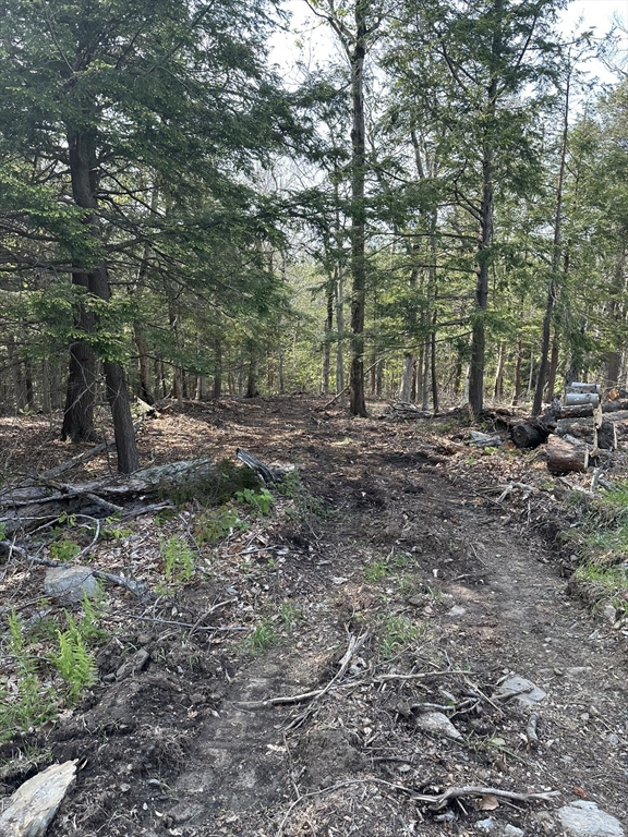 462 Old North Road Worthington, MA 01098 - Photo 13 of 24