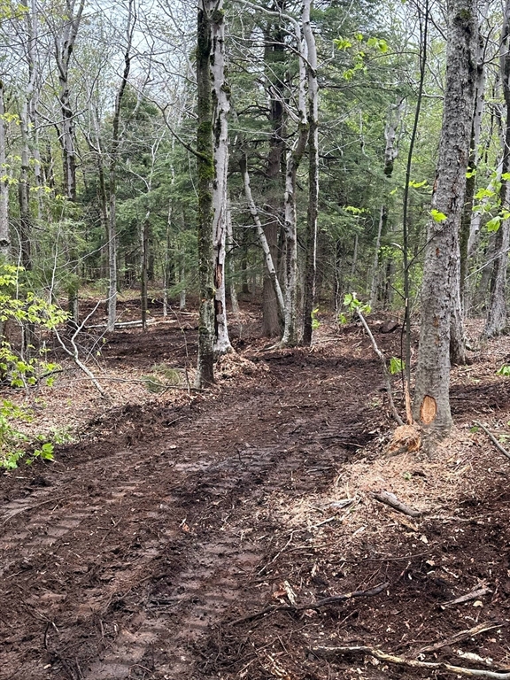462 Old North Road Worthington, MA 01098 - Photo 14 of 24