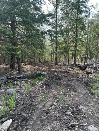$124,000 | 462 Old North Road, Worthington, MA 01098