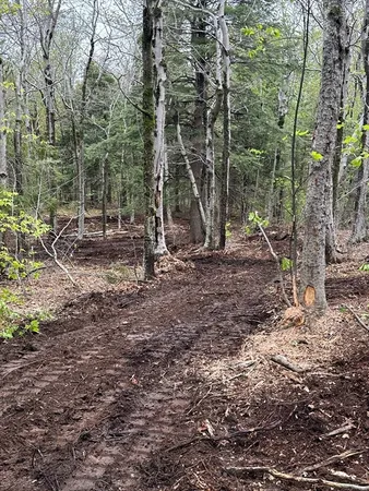 $124,000 | 462 Old North Road, Worthington, MA 01098