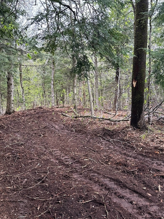 462 Old North Road Worthington, MA 01098 - Photo 17 of 25