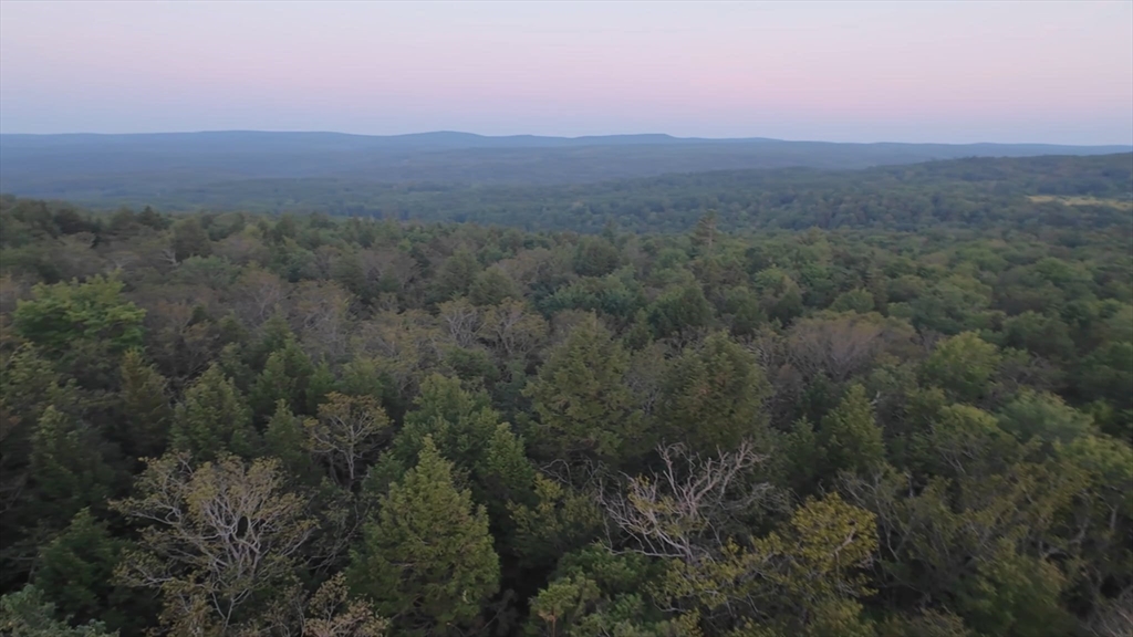 462 Old North Road Worthington, MA 01098 - Photo 2 of 25