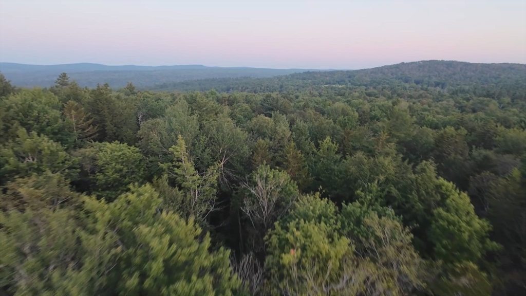 462 Old North Road Worthington, MA 01098 - Photo 25 of 25