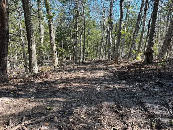 $124,000 | 462 Old North Road, Worthington, MA 01098