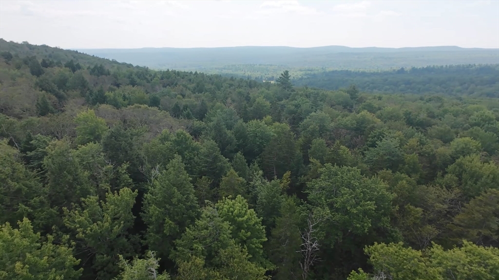 462 Old North Road Worthington, MA 01098 - Photo 9 of 25