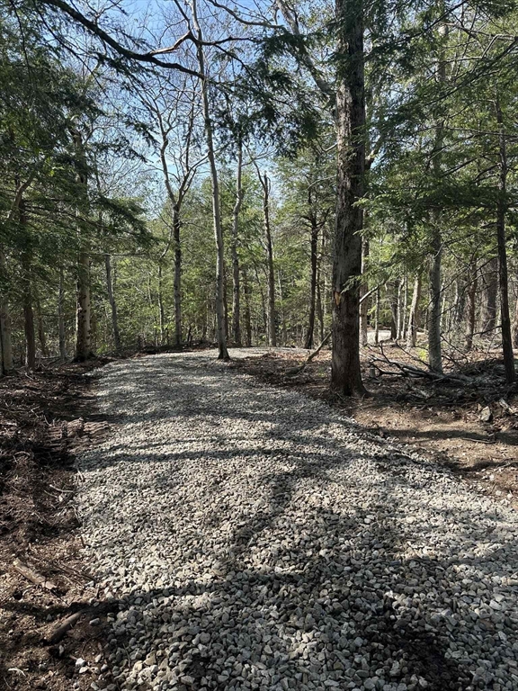 462 Old North Road Worthington, MA 01098 - Photo 10 of 25