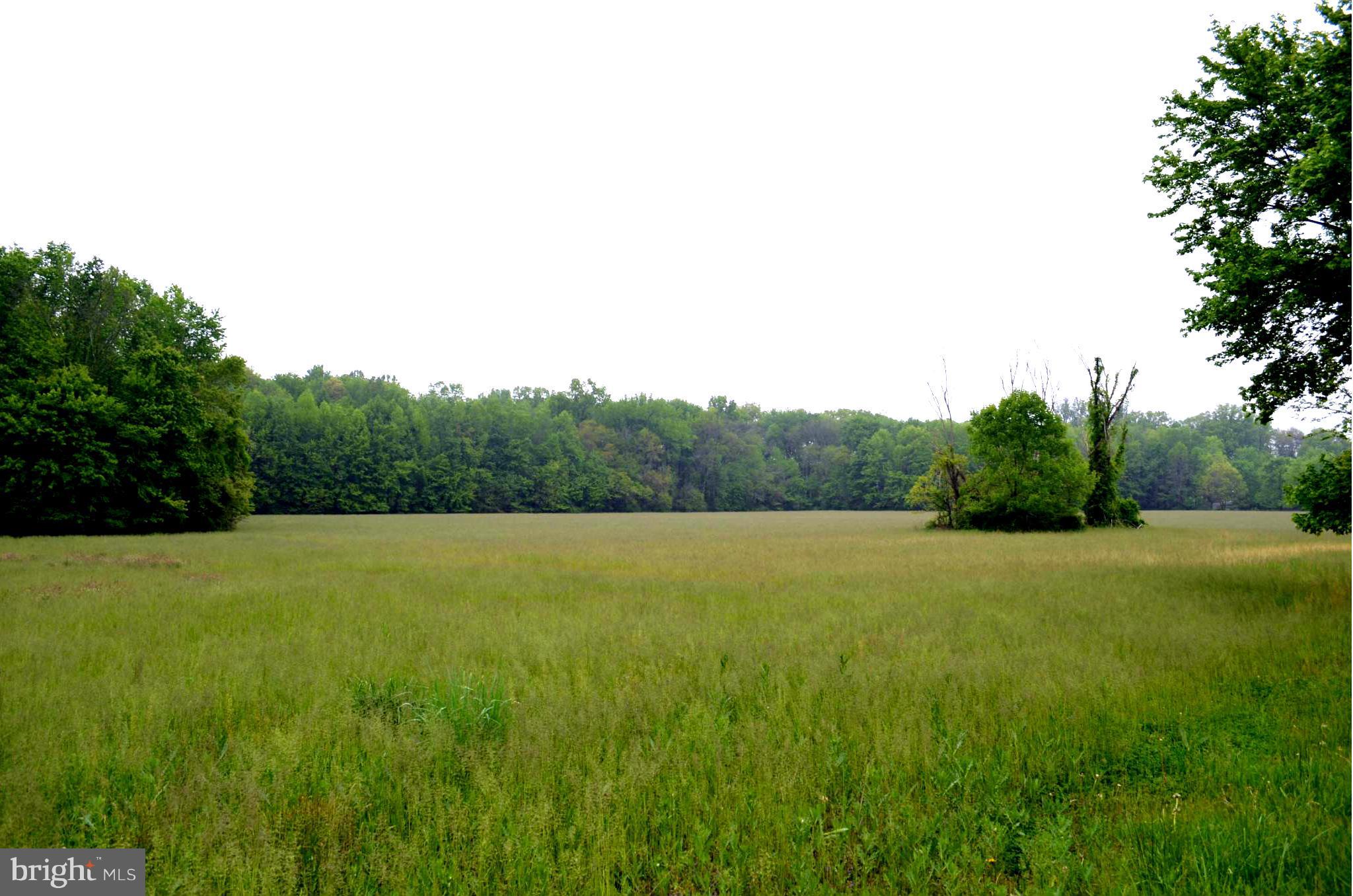 James Run Road Churchville, MD 21028 - Photo 2 of 11 Beautiful 16.5 Acre lot in great location!