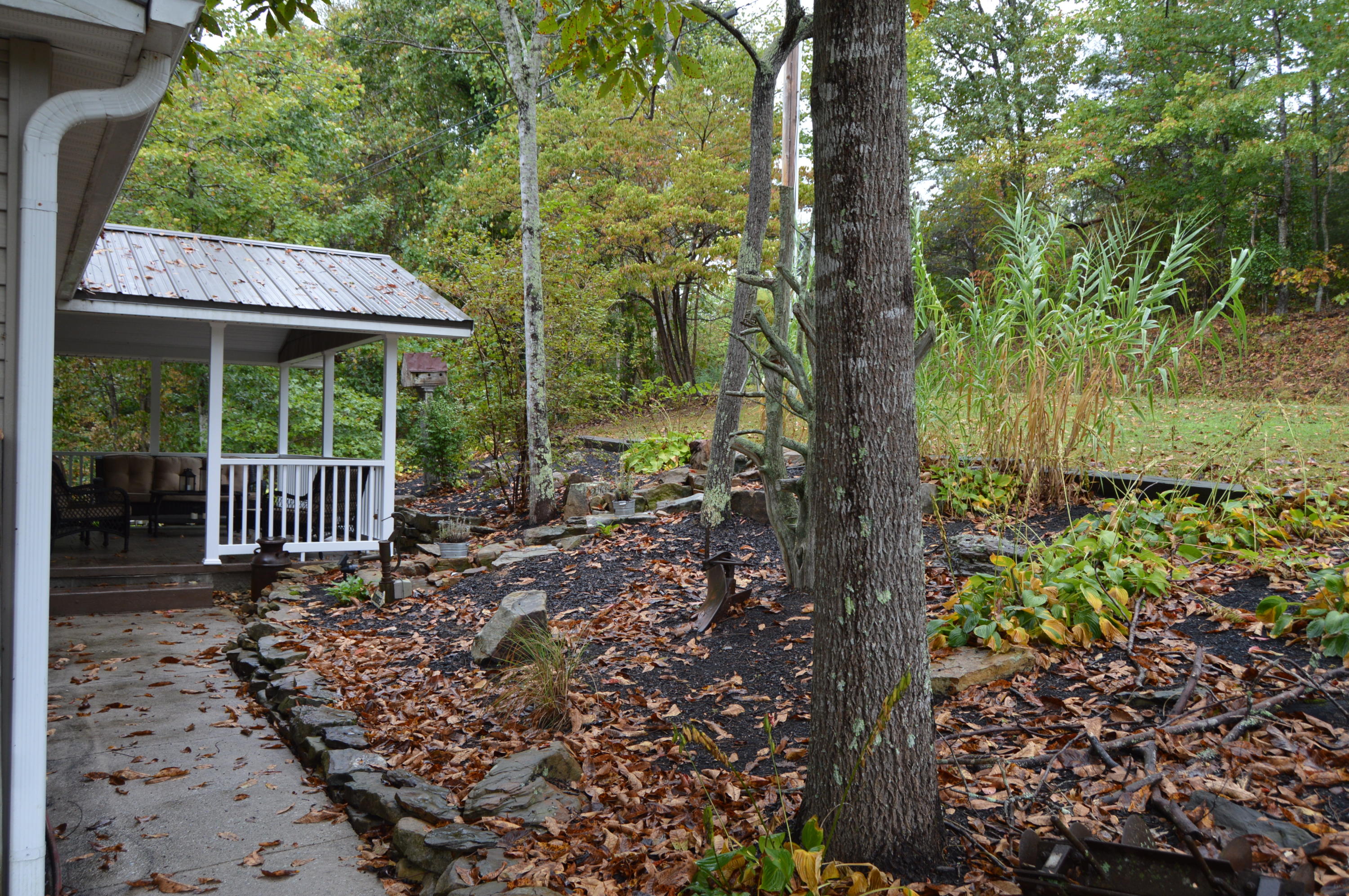 203 Blake Road Oakdale, TN 37829 - Photo 3 of 36 DSC_0136