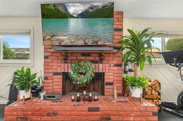 a potted plant sitting in front of a house