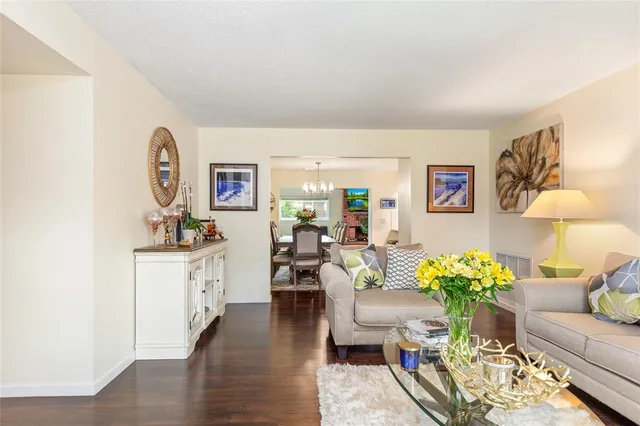 a living room with furniture flowerpot and a rug
