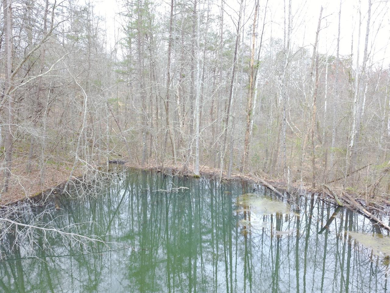 9999 Verne Road Williamsburg, KY 40769 - Photo 21 of 23 Photo 21