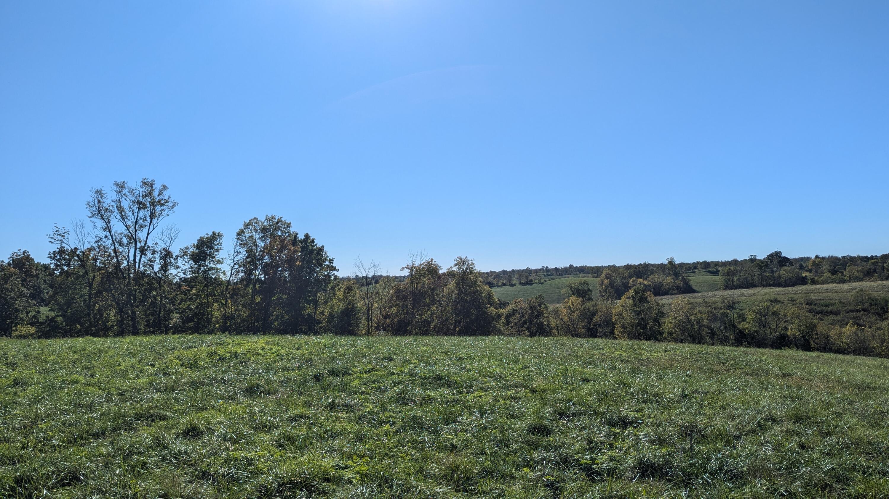 3453 East Union Road Carlisle, KY 40311 - Photo 28 of 70 PXL_20241008_195742181