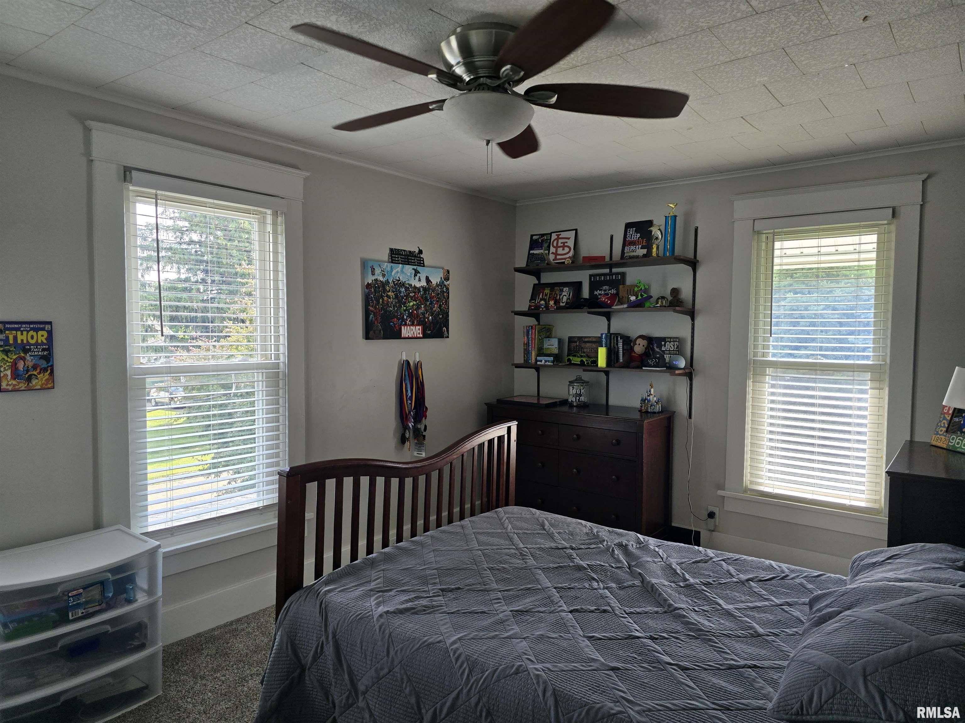 131 West Olive Street Canton, IL 61520 - Photo 42 of 76