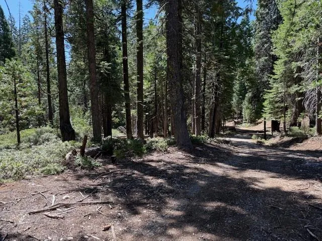 a view of street with trees