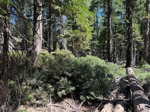 a view of outdoor space and trees