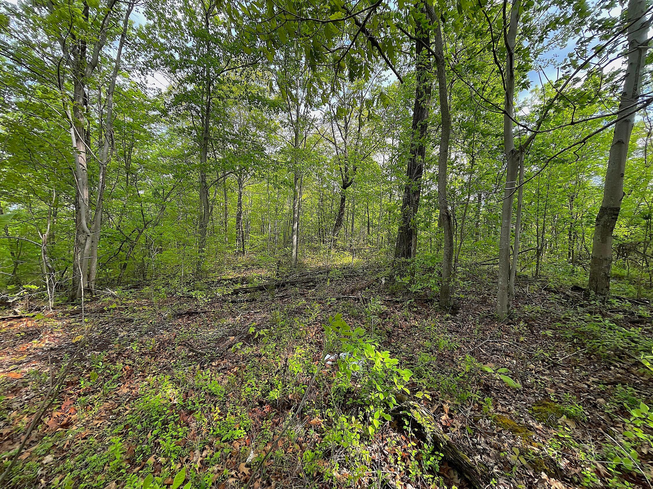 478 Hamilton Road Crown City, OH 45623 - Photo 14 of 29 IMG_0916