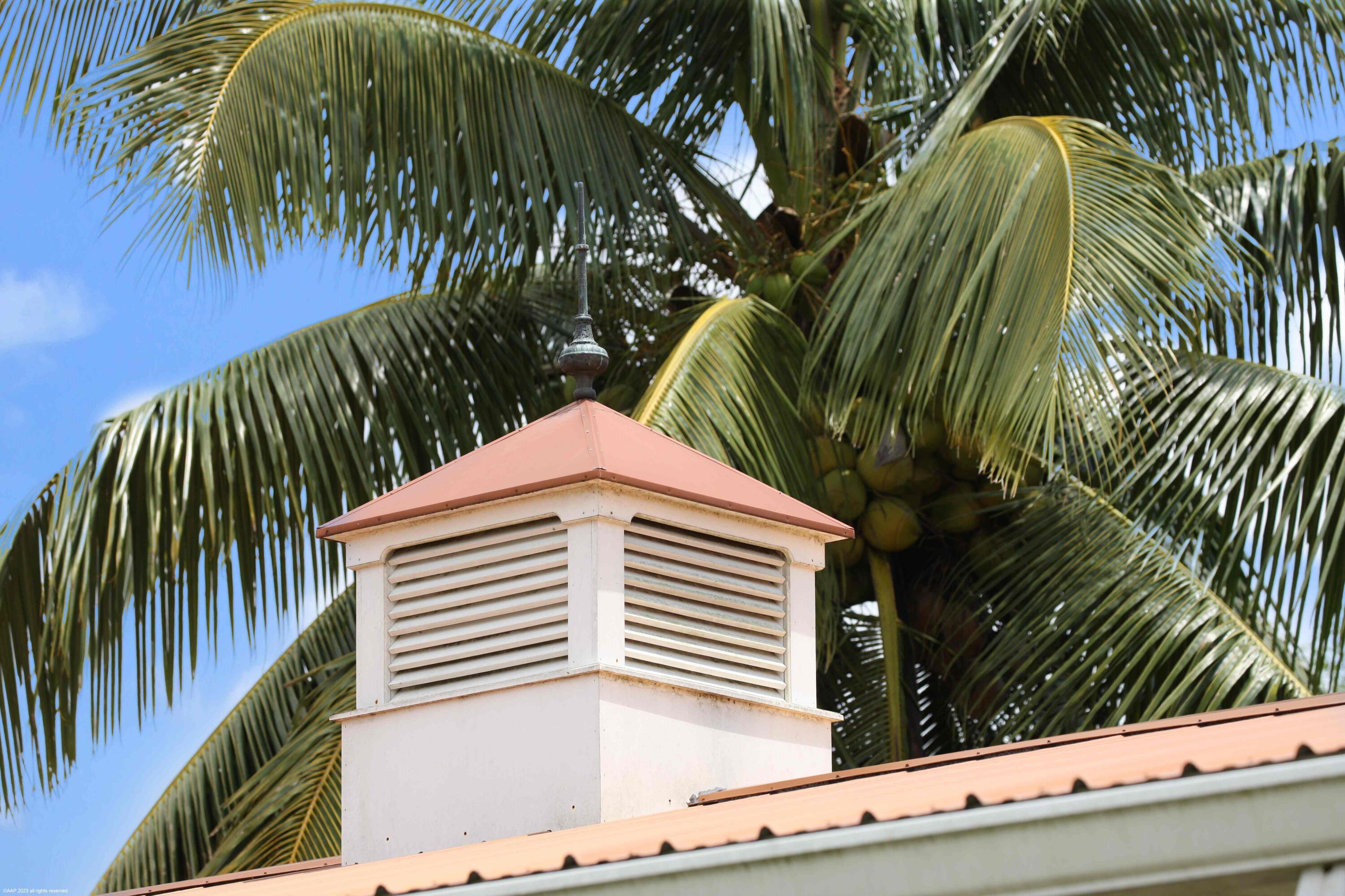 16559 Rustic Road Wellington, FL 33470 - Photo 28 of 82 a view of a palm plant that is in front of a house
