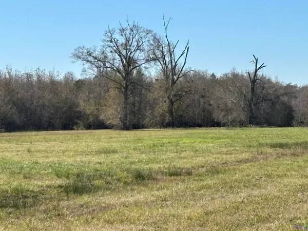 $500,000 | 12176 La Highway, Gonzales, LA 70737