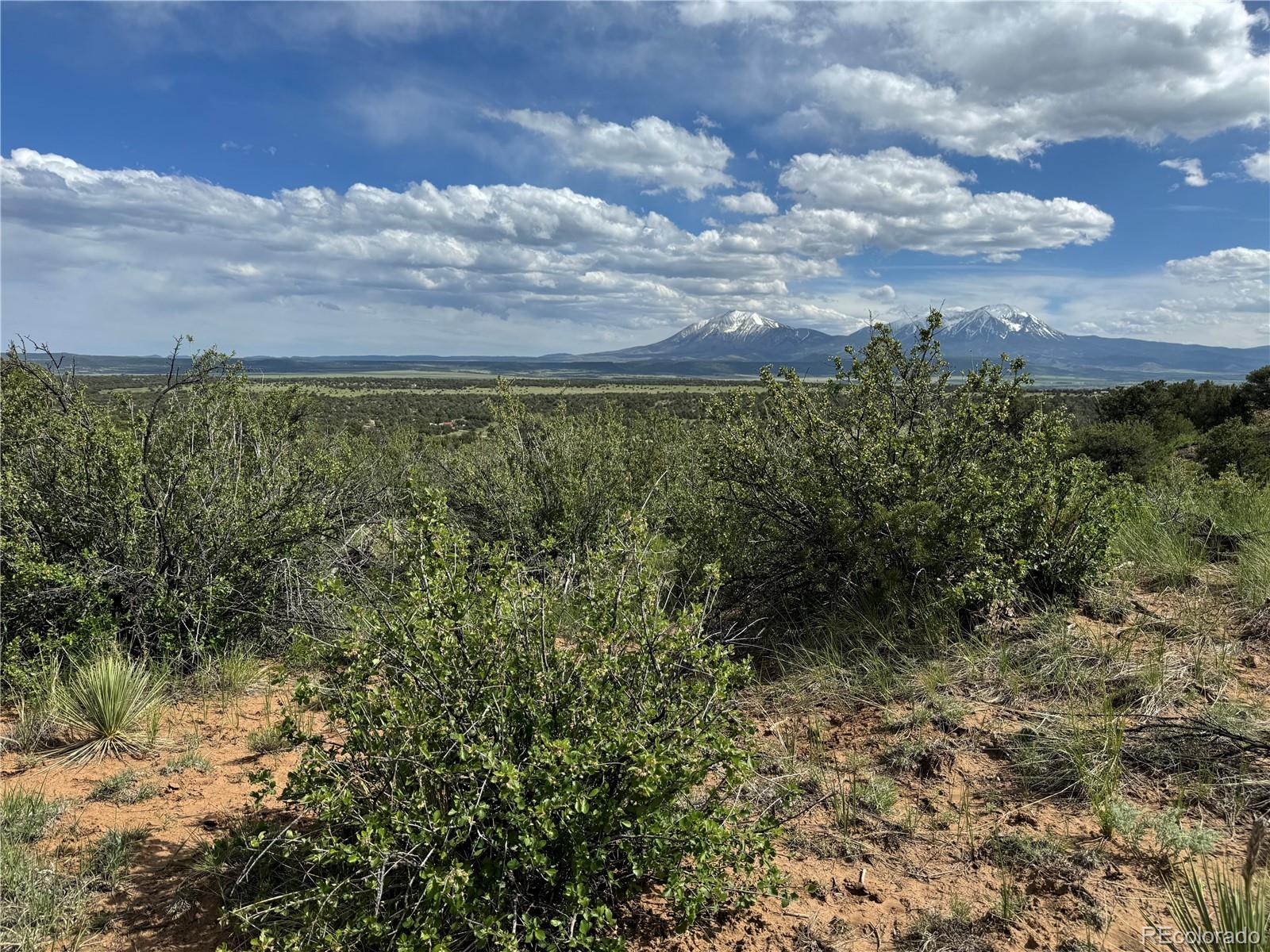 Seneca Circle Walsenburg, CO 81089 - Photo 5 of 10 a view of a bunch of trees