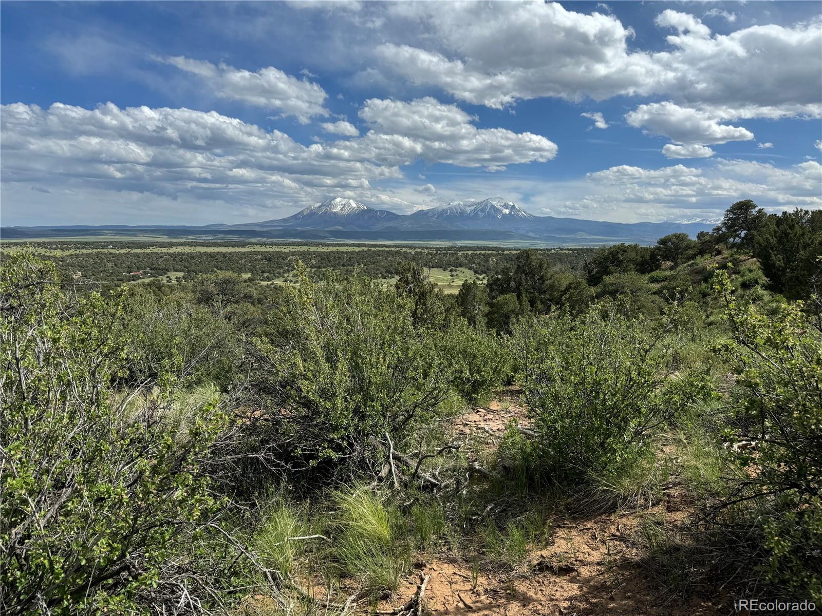Seneca Circle Walsenburg, CO 81089 - Photo 6 of 10 a view of a bunch of trees