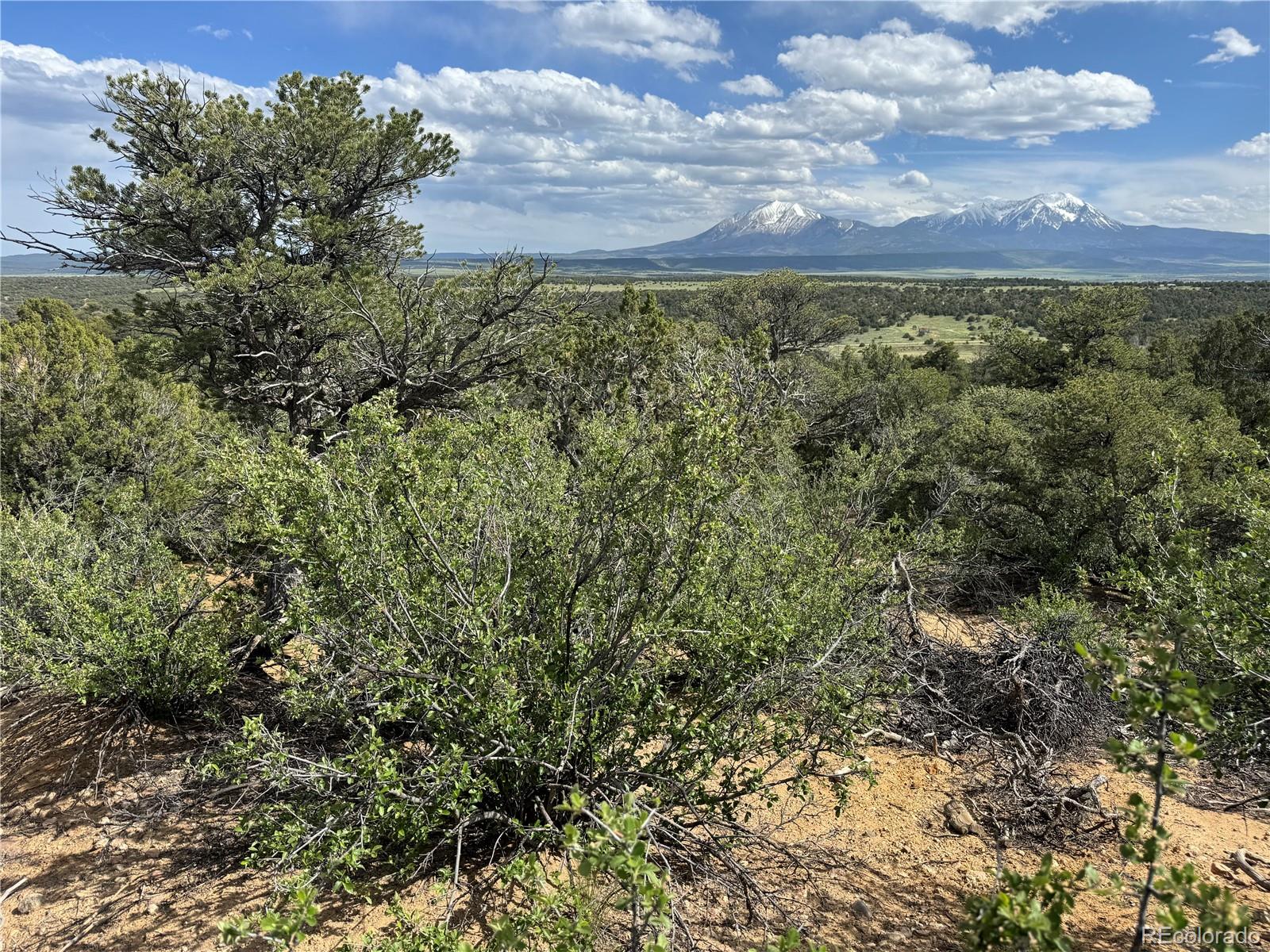 Seneca Circle Walsenburg, CO 81089 - Photo 7 of 10 a view of a bunch of trees