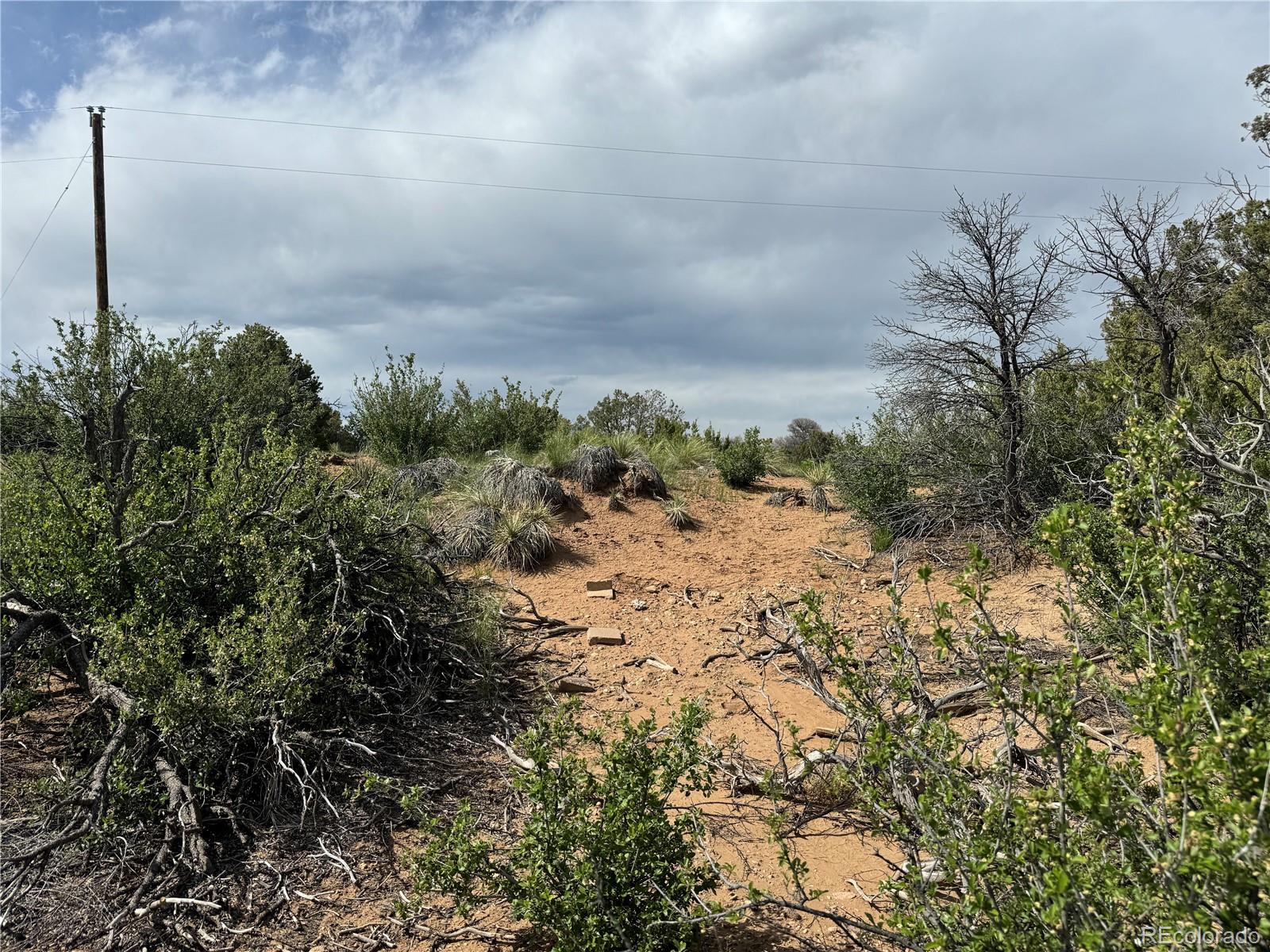 Seneca Circle Walsenburg, CO 81089 - Photo 8 of 10 a view of a dry yard with trees