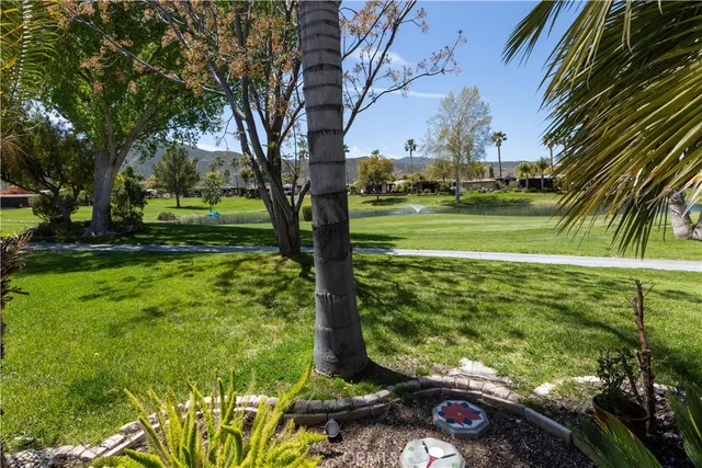 a view of a yard with a fountain