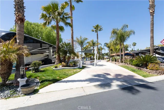 a view of a backyard with palm trees